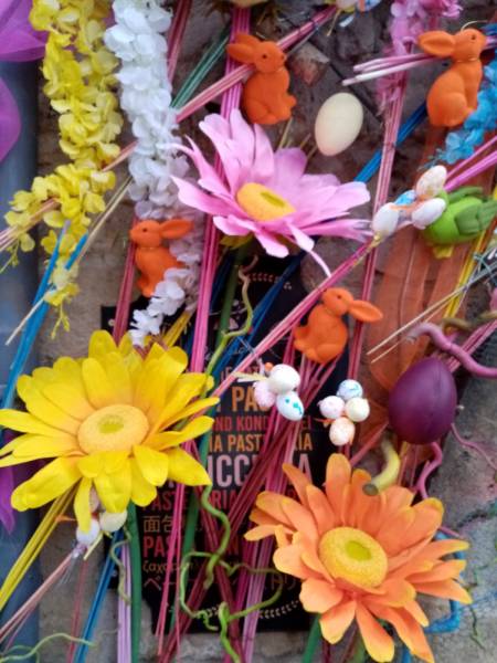 Fleurs de marguerites en location et vente pour décoration de façade en Provence