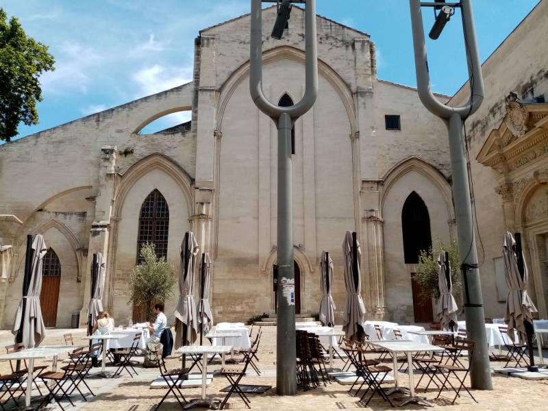 Vente d'olivier en pot pour terrasse de restaurant et Hôtel avec livraison en Avignon et région Paca