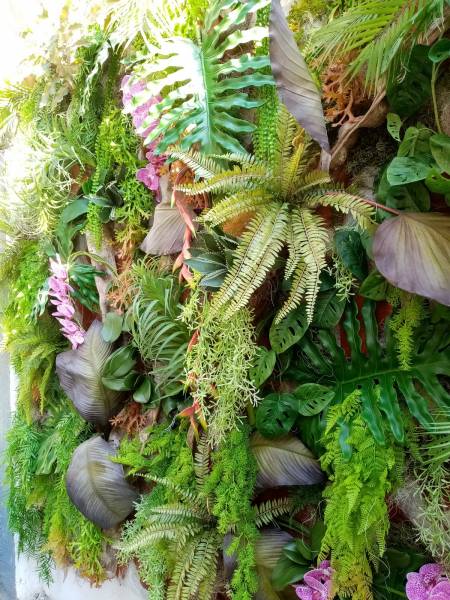 Mur de fleurs et de verdure en naturel pour événement.