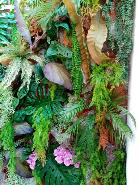 Une cascade luxuriante de verdure exotique des îles.