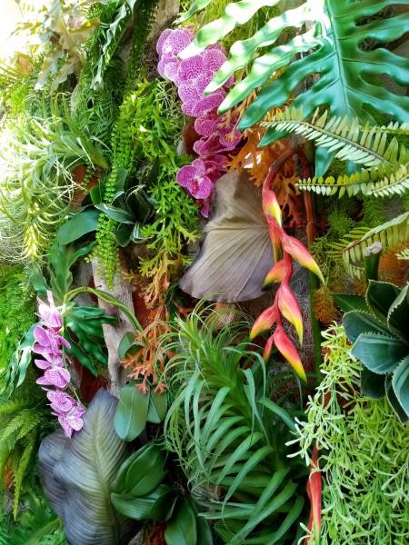 Les couleurs sont fidèles à la réalité.