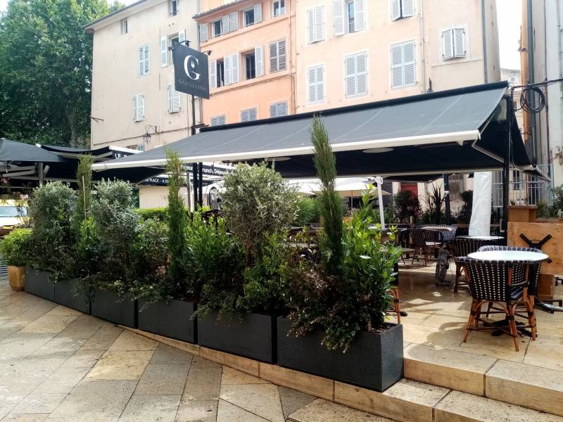Vente de plantes en jardinière pour restaurant en paca