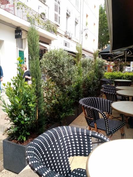 Les clients peuvent profiter de la terrasse en tout intimité.