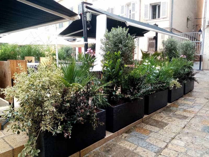 Le mélange des couleurs argentées au autres verts apporte de la fraîcheur.