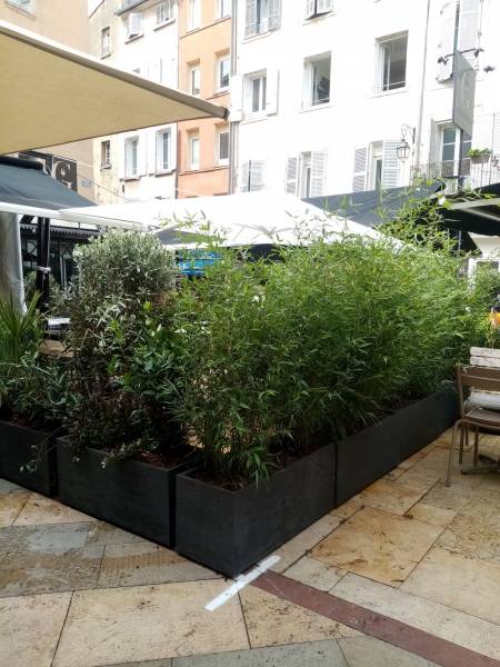 En fond en terrasse, les bambous occultent la terrasse de la vue des autres restaurants.
