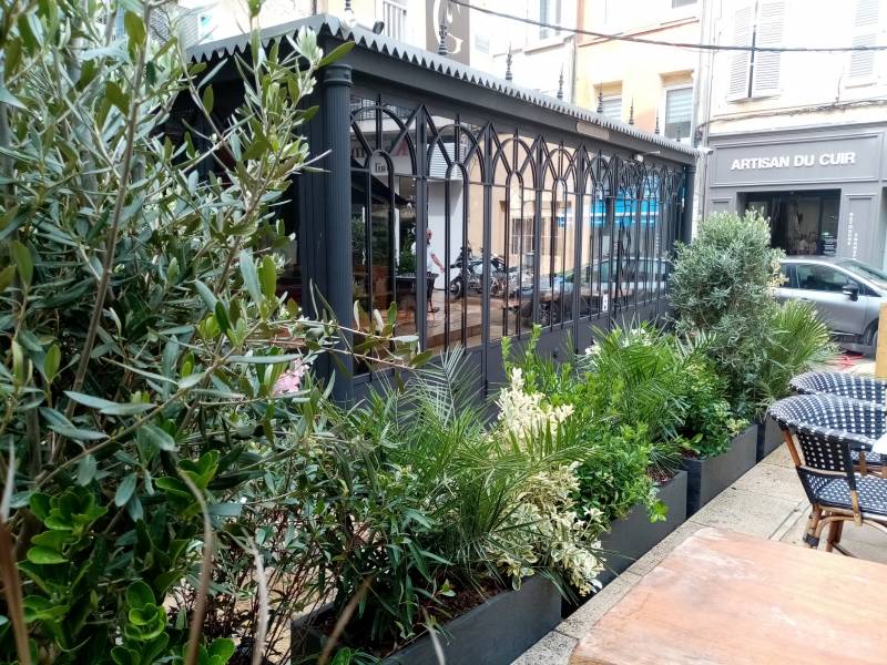 Dans les agnles, les oliviers soulignent la perspective.