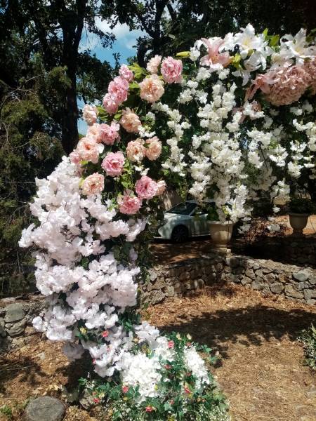 Les prunus blanc pleureurs donnent du romantisme à l'arche.