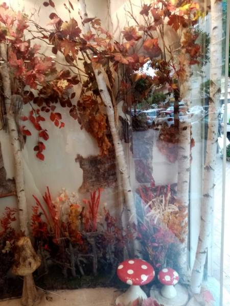 Décorateur de vitrine à thème en fleurs et plantes artificielles en location en paca.