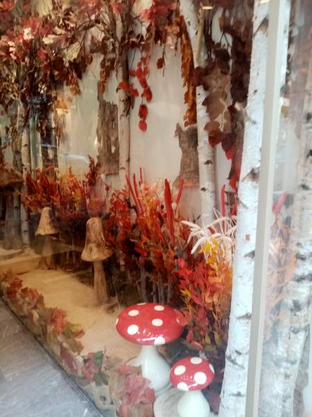 Décorateur de vitrine à thème en fleurs et plantes artificielles en location en paca.