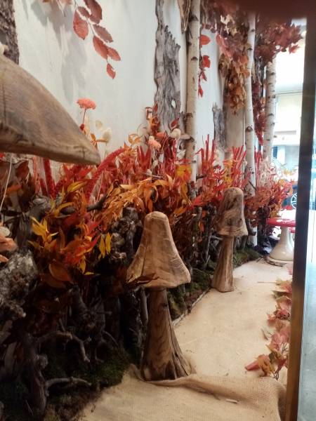 Les petits champignons en bois jouxtent l'orée du bois