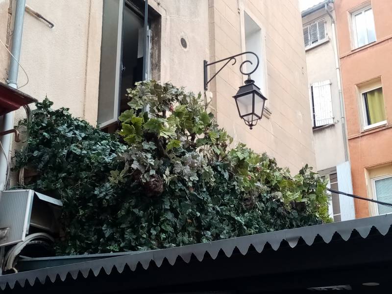 Le décor de vigne doit être le plus réaliste possible dans l'ambiance du restaurant aixois.