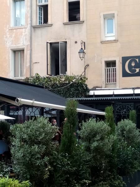 Les jardinières de plantes limitant la terrasse réalisées par clorofil events s'harmonisent avec le mur de vignes et de lierres.