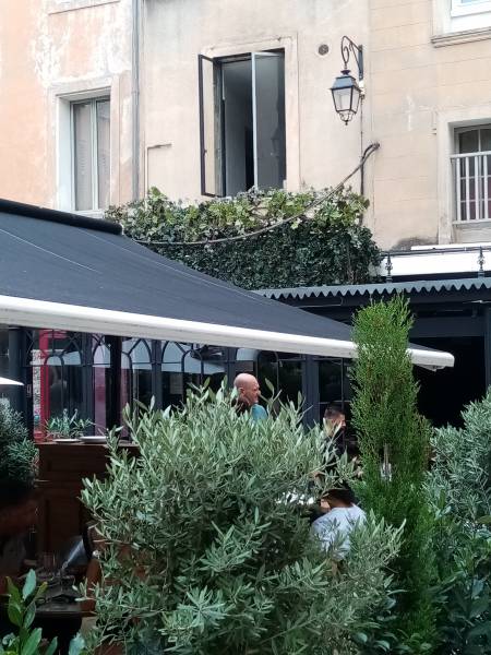 La réussite d'un décor artificiel tient dans l'harmonie avec les plantes environnantes.