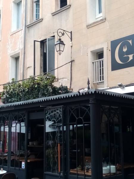 La vigne reconstituée sur un toit de véranda de restaurant quelle authenticité !