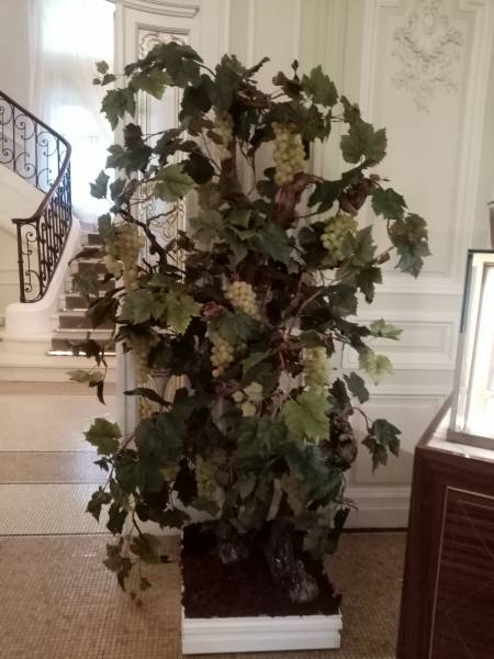 Les deux binomes de vignes montent la garde d'honneur.