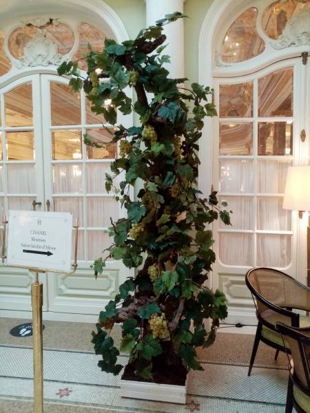 Les vignes hautes mettent en valeur les portes de la salle.