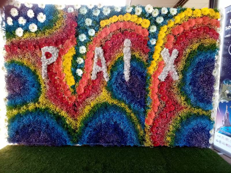 Mur de fleurs de gypsophile teintés pour illustrer le symbole de la paix.