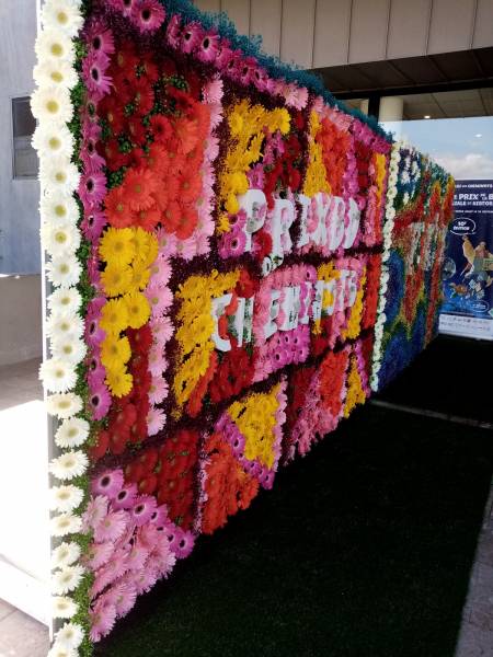 Mur floral de gerbera et gypsophile pour événement de remise de prix de  la bande dessinée Marseille