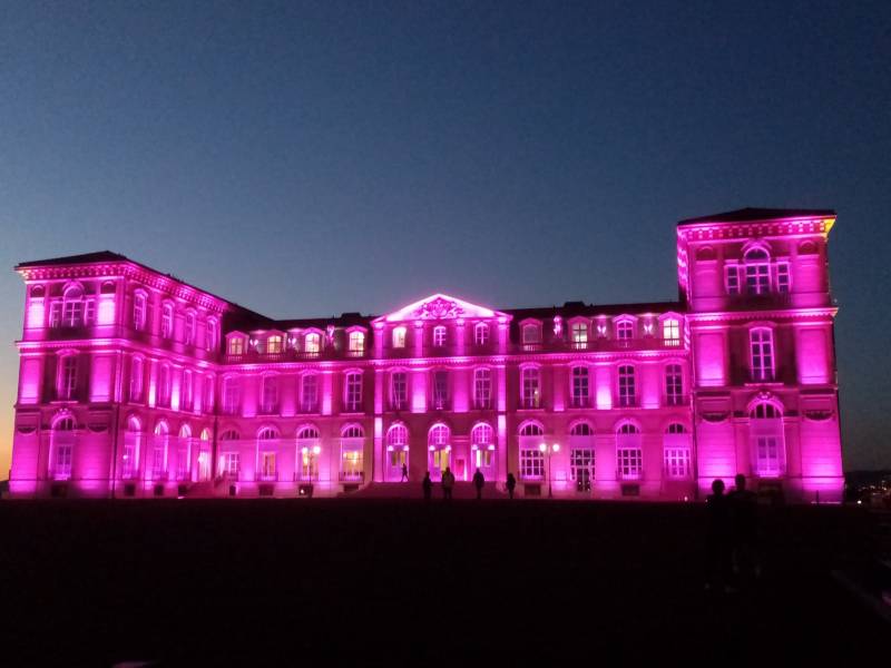 Conception réalisation de mur de fleurs et de végétaux éphémère pour vos événement en PACA