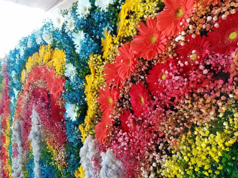 Conception réalisation de mur de fleurs et de végétaux éphémère pour vos événement en PACA