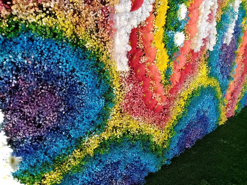 Conception réalisation de mur de fleurs et de végétaux éphémère pour vos événement en PACA