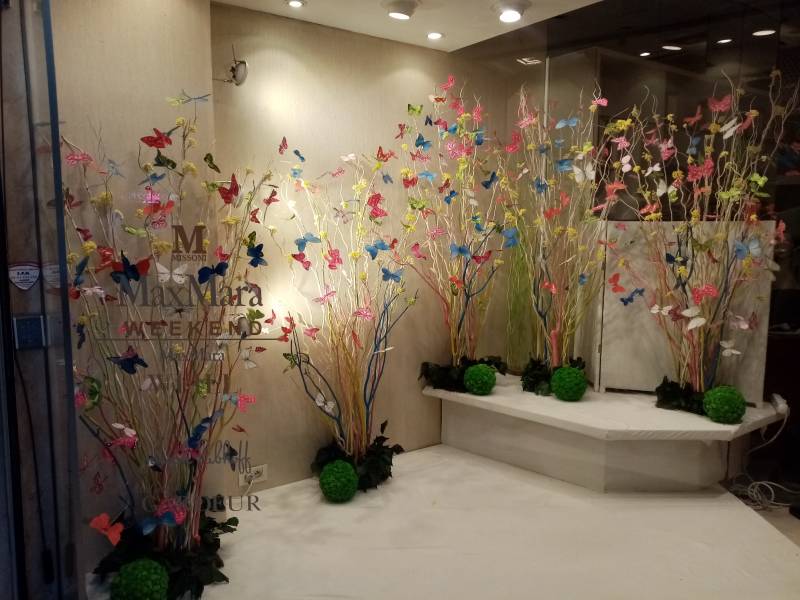 Location de vos décors floraux et de plantes à thème de votre vitrine et boutique de mode dans la région Provence Alpes Côtes d'Azur.