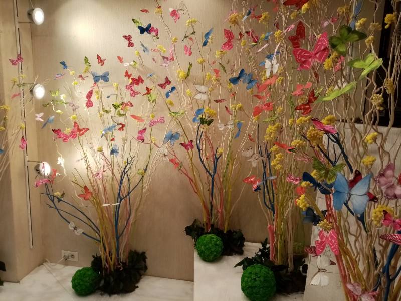 Location de vos décors floraux et de plantes à thème de votre vitrine et boutique de mode dans la région Provence Alpes Côtes d'Azur.