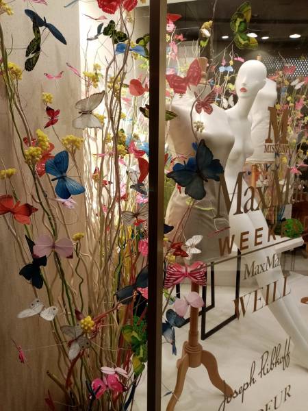 Location de vos décors floraux et de plantes à thème de votre vitrine et boutique de mode dans la région Provence Alpes Côtes d'Azur.