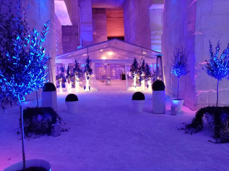 Composition florale pour inauguration et vernissage Culturespaces Carrières de Lumières Yves Klein Venise 2022