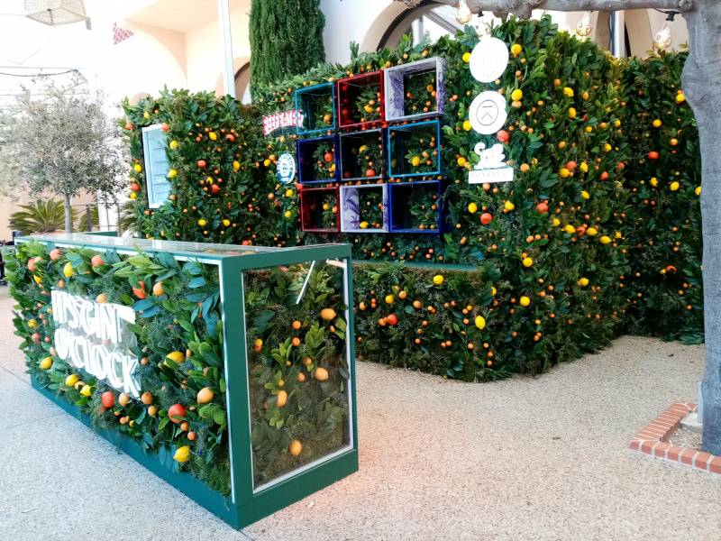 Conception de mur de végétaux pour salon événementiel