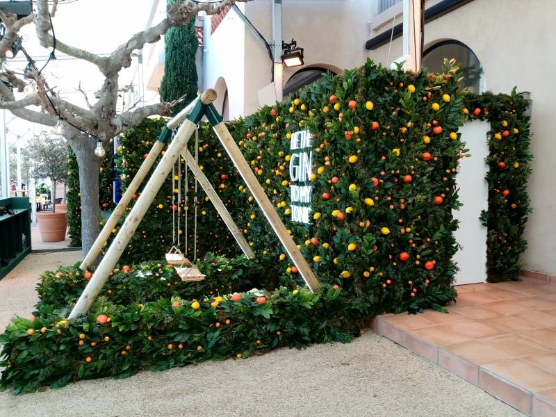 Concept de mur de fruits et verdures de citronniers, d'oranger et de genévrier