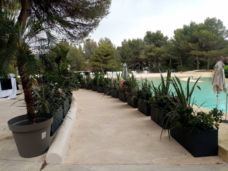 L'allée est bordée de rangées de jardinières protectrices efficaces.