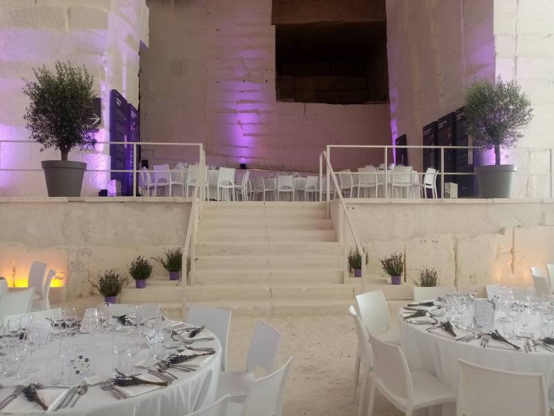 Ces oliviers an arbres posés sur la scène de l'espace Cocteau des Carrières des Lumières apportent de la hauteur à l'espace pour harmoniser avec l'échelle du lieu.