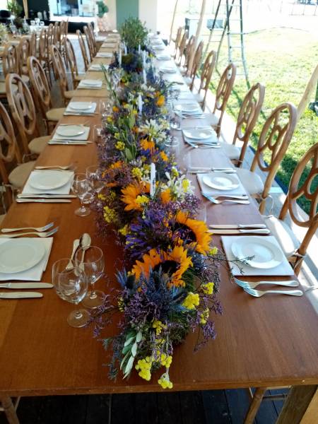 Les frises mesurent que 20 cm de large.