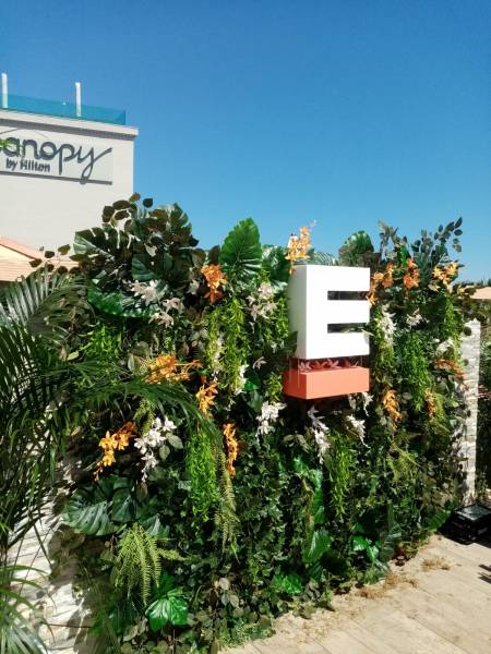 Mur de fleurs naturelles ou artificielles pour événements privés et professionnels en paca