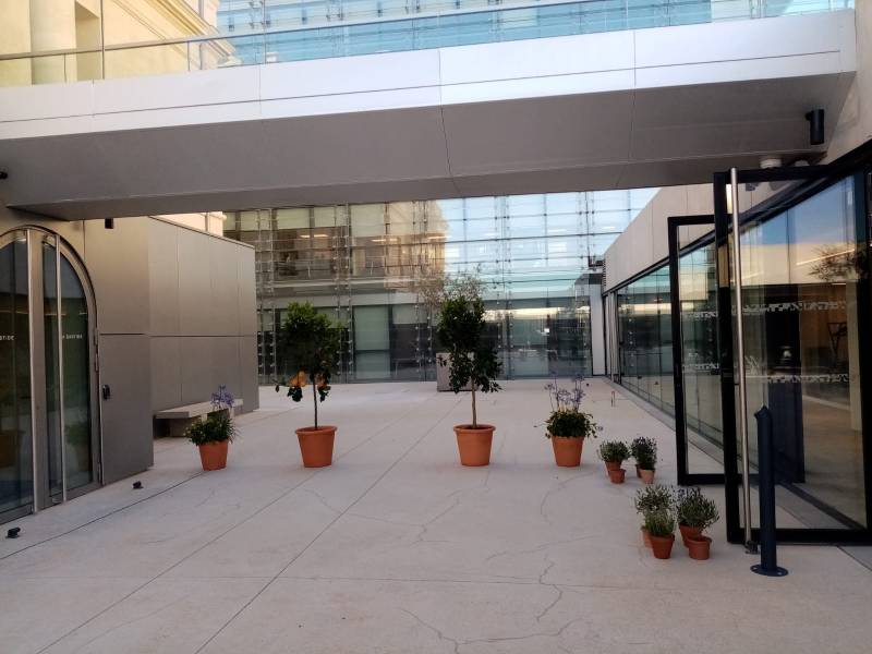 Les agrumes tels que des mandariniers et citronniers créent des fonds pour séparer les zones et canaliser ainsi les invités pour cet événement à Marseille.