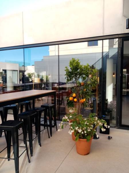 Pour toutes les entrées dans les salles, des grosses plantes d'agrumes sont associées harmonieusement avec des potées fleuries généreuses.