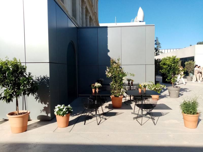 Les plantes en location sont livrées en pots en terre RAVEL, ils sont de grandeurs variées pour recevoir chaque plante.