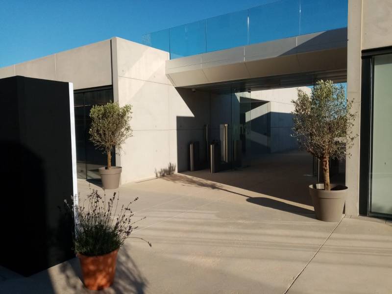 Dans les angles du parcours des invités, de fiers oliviers se dressent. 