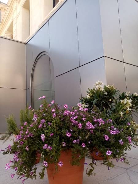 De belles et grosses potées fleuries se marient très bien selon la saison avec des lauriers roses en fleurs.