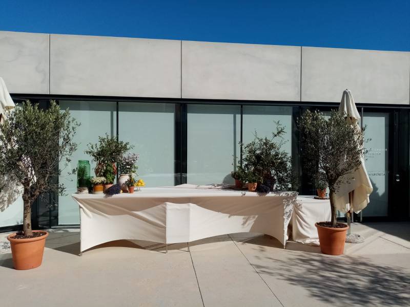 Pour embellir les tables traiteurs, de splendides oliviers troncs se posent en symétrie.