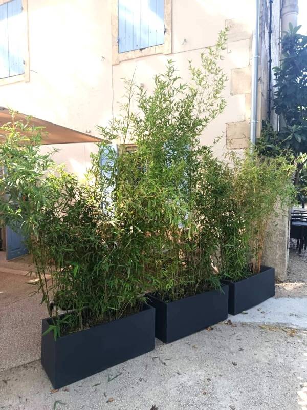Les bambous permettent de bien cloturer les espaces réceptifs des espaces fonctionnels  à cacher.