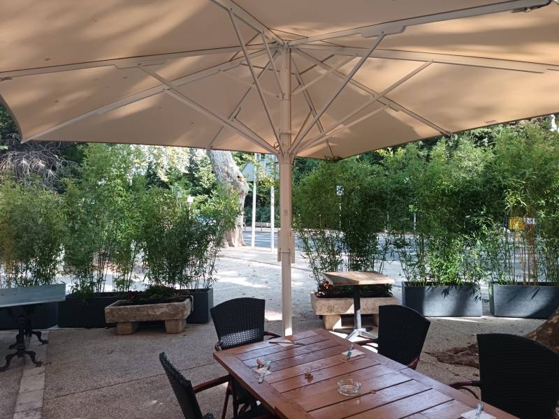 Les bambous de Clorofil events sont proposés en location avec livraison, installation et retrait en fin d'événement en paca.