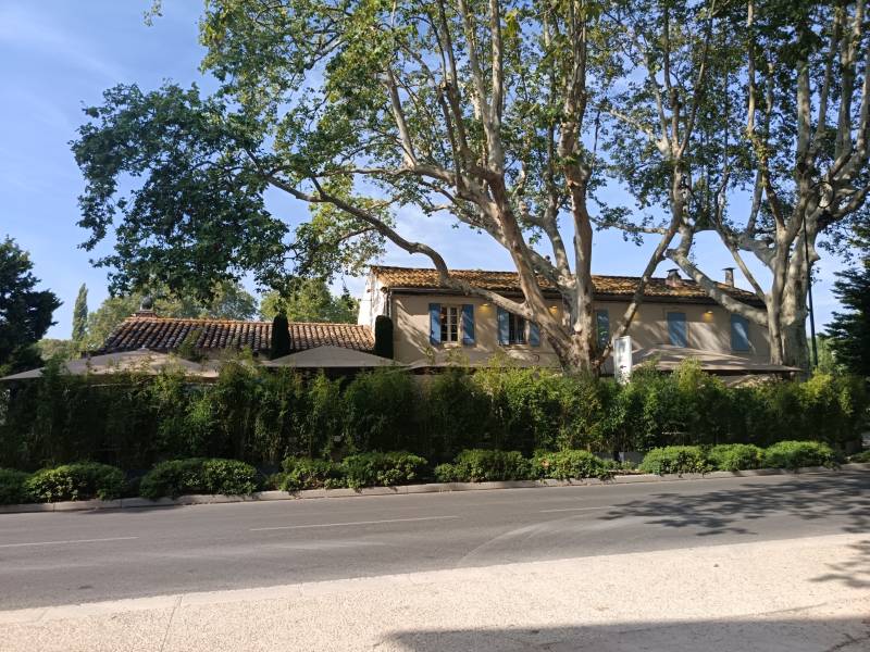 La location de bambou est idéale pour protéger vos événements en Provence.