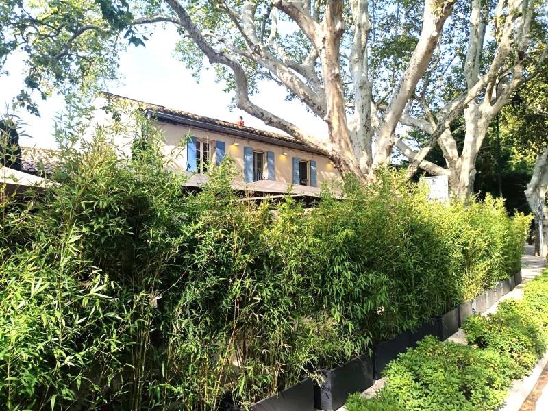 La densité de bambous est concluante pour occulter cette réception de mariage au Paradou.