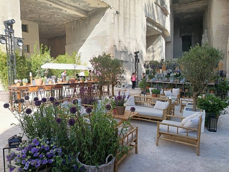 Les plantes en location subliment vos événements en Provence.