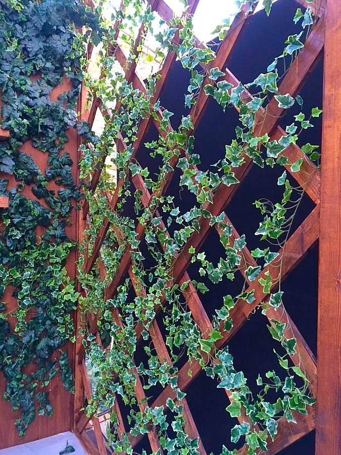 lierre artficiel pour treillage en location pour salon stand