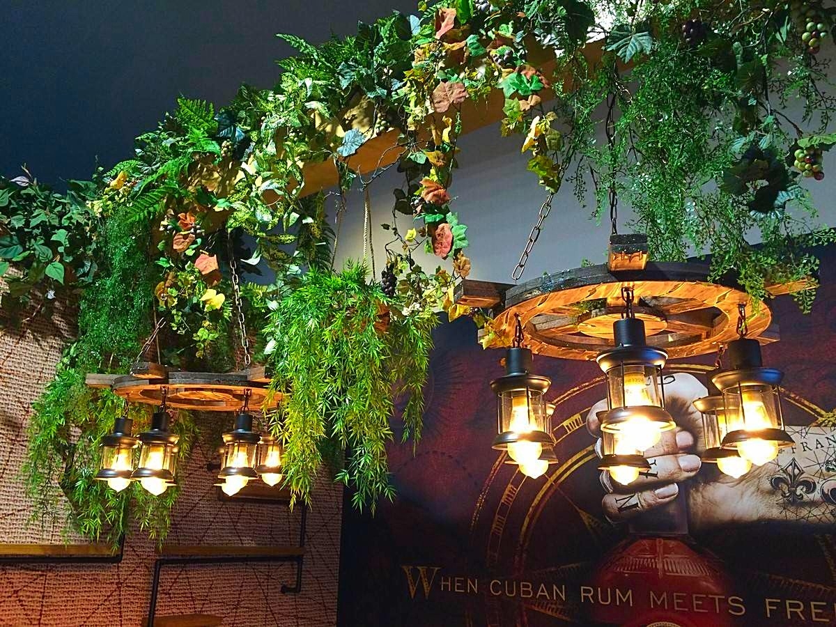 plantes en location pour décor de stand et salon Marseille