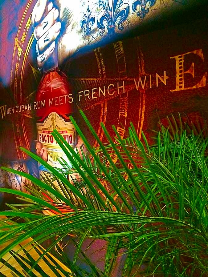 location de palmier pour salon dans le Var