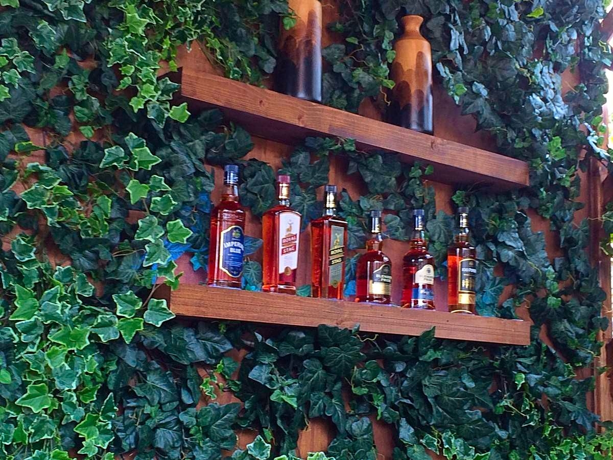 mur de verdure pour bar et exposition à la location sur Toulon